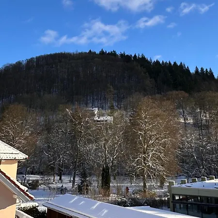 Scholbenblick Apartment *